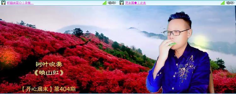 无言🎤V娱热点