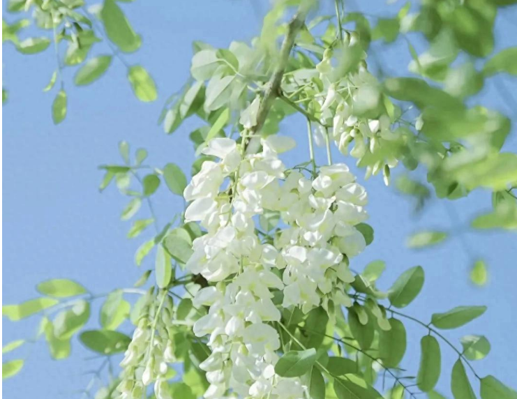 小浅🎤V娱热点