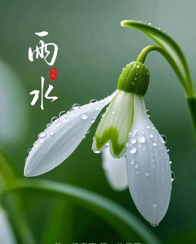 飘雪🎤V娱热点