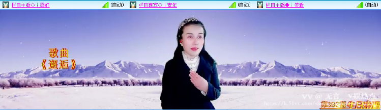 无言🎤V娱热点