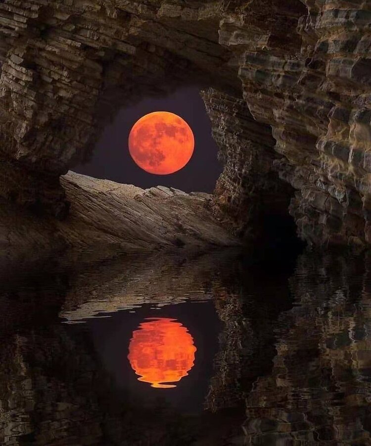 思念如风醉月眸vv首发