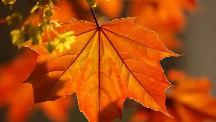 雪儿🎤V娱热点