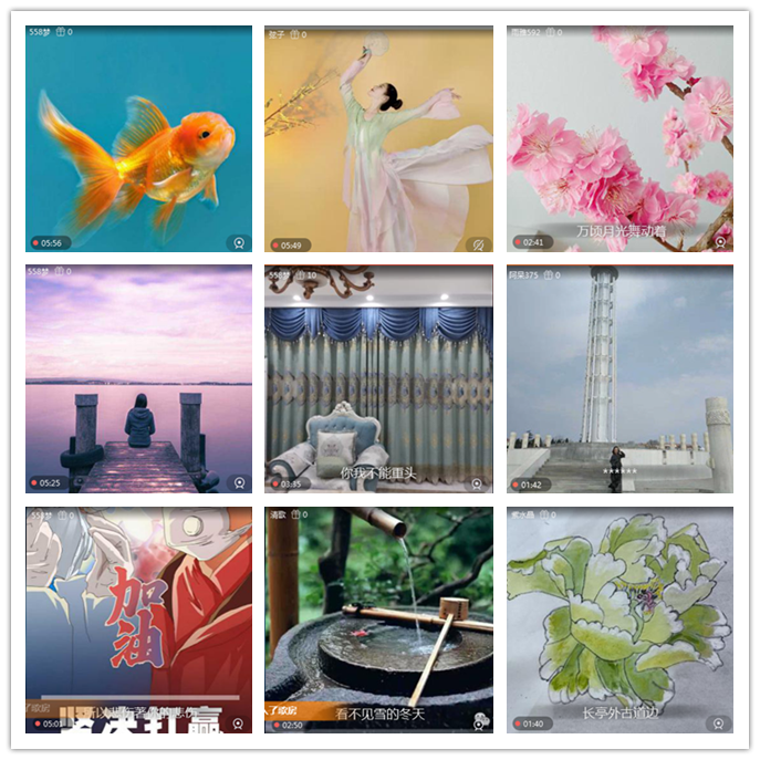 听云🎤V娱热点