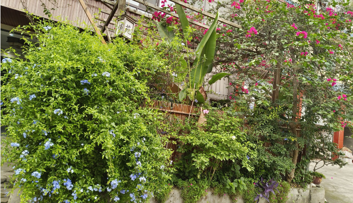 雪儿🎤V娱热点