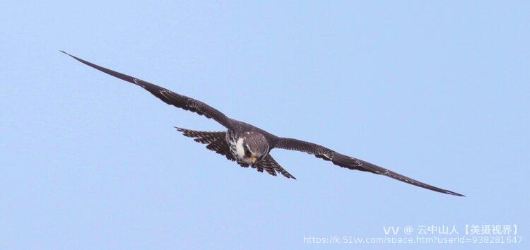 云中山人【美摄视界】