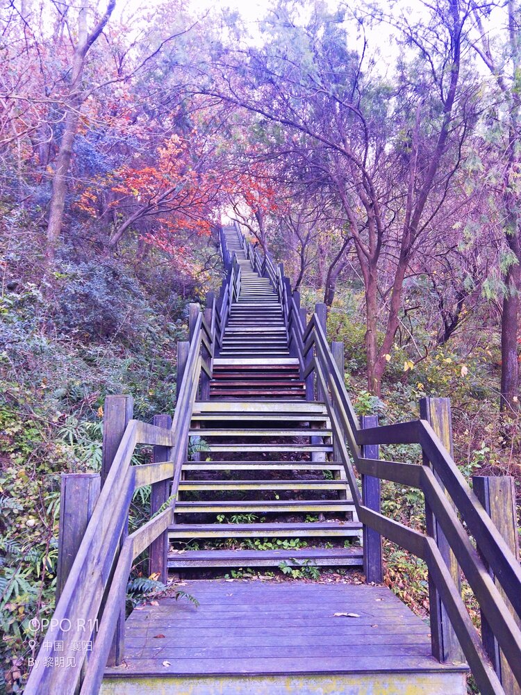 襄阳环岘山绿道一期图片