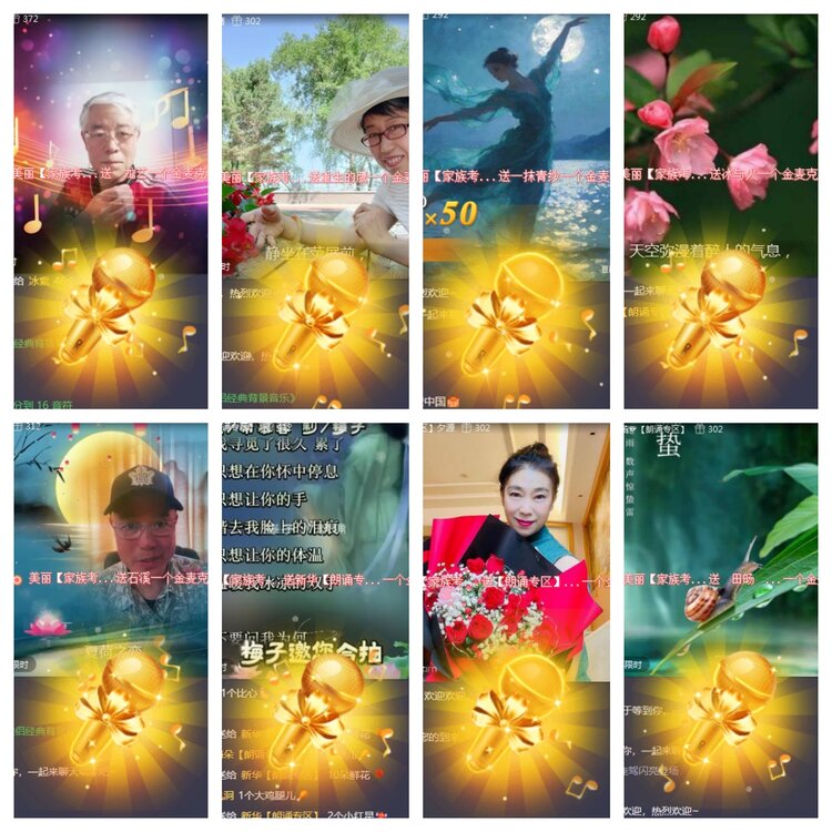 海燕🎤V娱热点