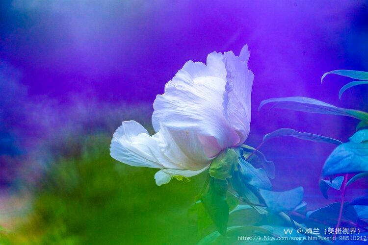 梅兰（美摄视界）