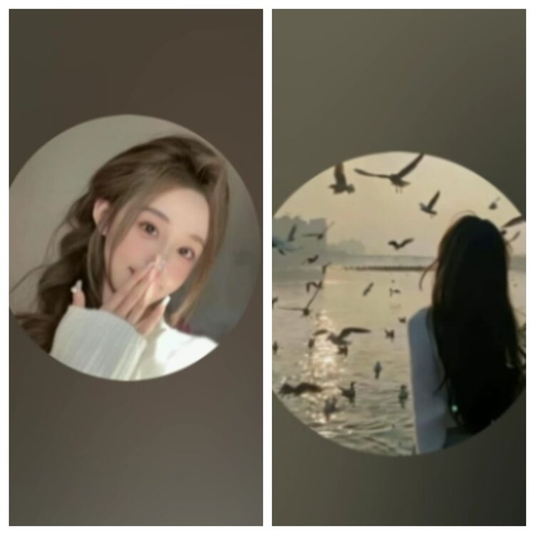 心玫🎤V娱热点