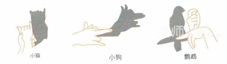 垂耳兔^O^