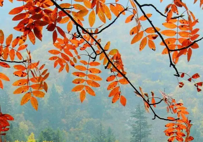 雪儿🎤V娱热点