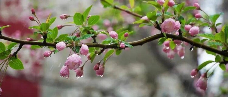 曾经🎤V娱热点