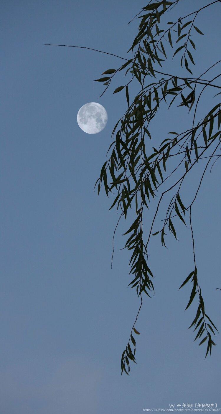 美美🍃【美摄视界】