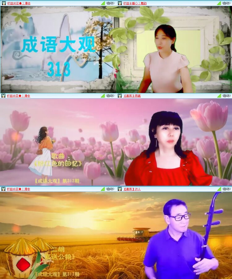 无言🎤V娱热点