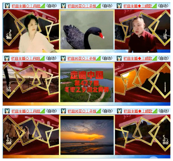 小路🎤V娱热点