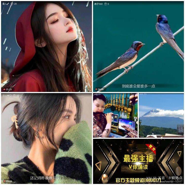 无言🎤V娱热点