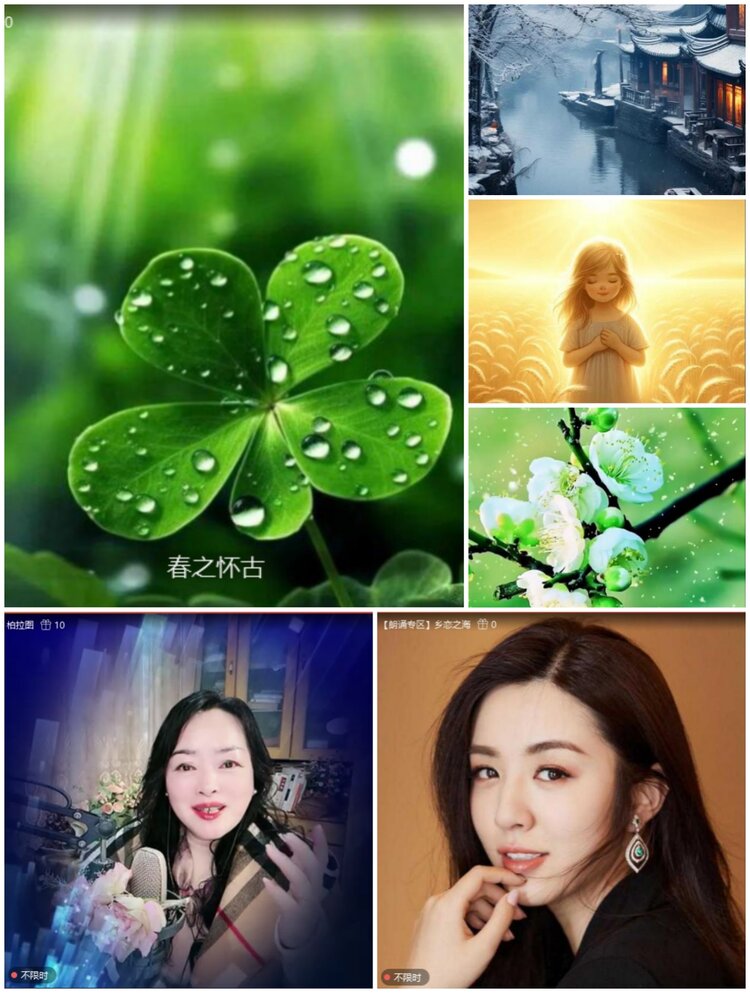 无言🎤V娱热点