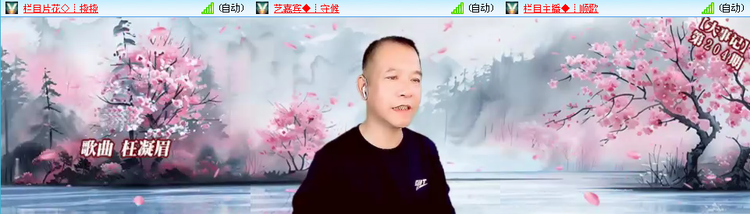 无言🎤V娱热点