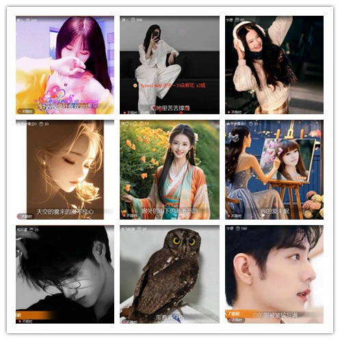 梅香🎤V娱热点