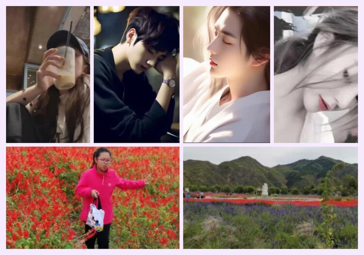 航航🎤V娱热点