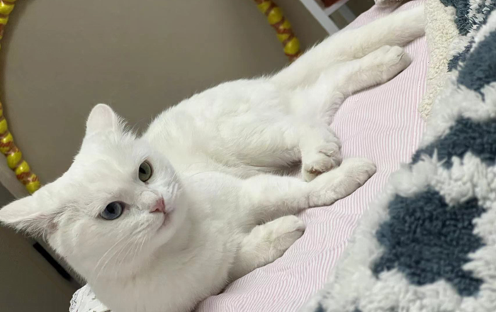 雪儿🎤V娱热点