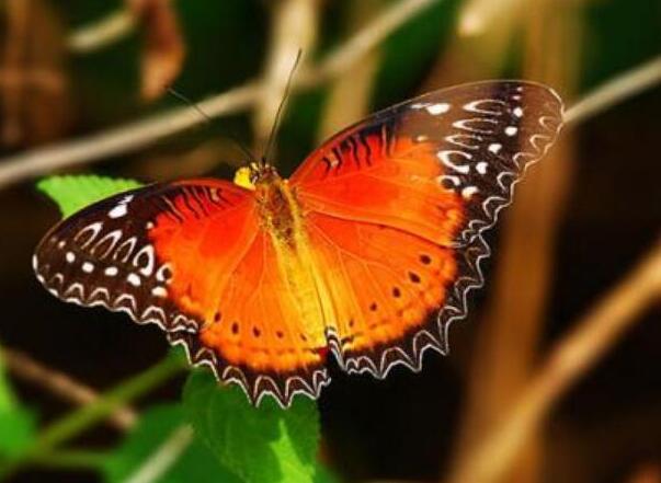 曾经🎤V娱热点