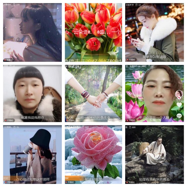 海燕🎤V娱热点