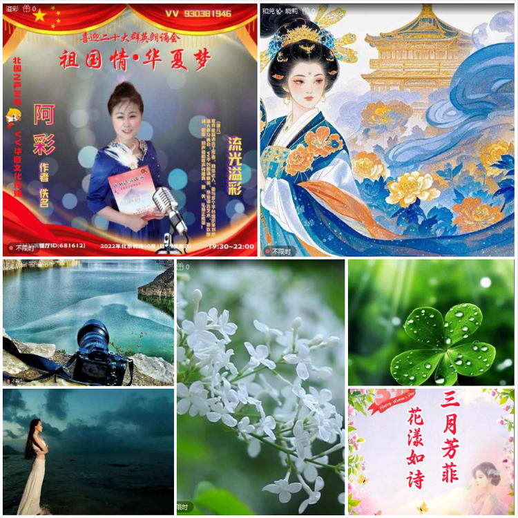 无言🎤V娱热点