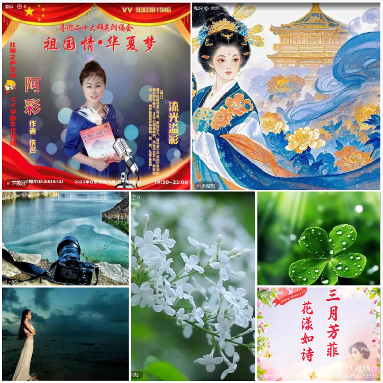 无言🎤V娱热点