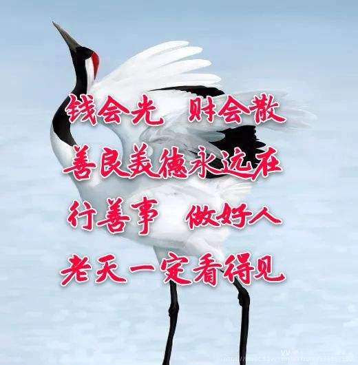 【首发】感悟人生;做人善良,心安一生!77150596