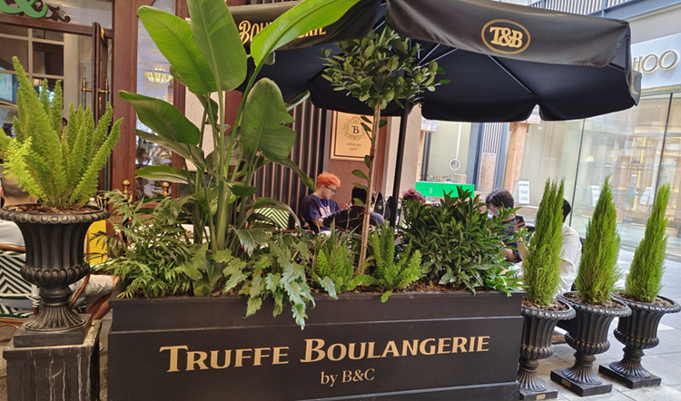 雪儿🎤V娱热点