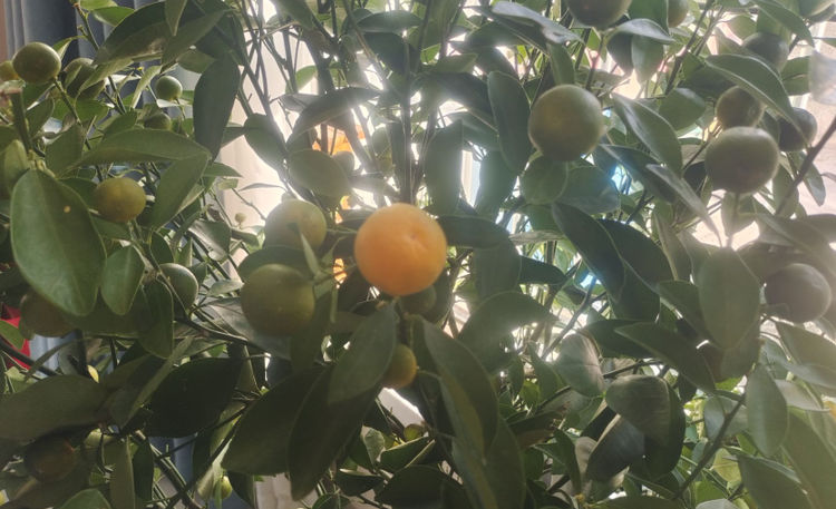 雪儿🎤V娱热点