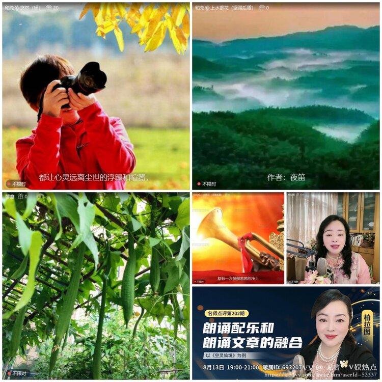 无言🎤V娱热点