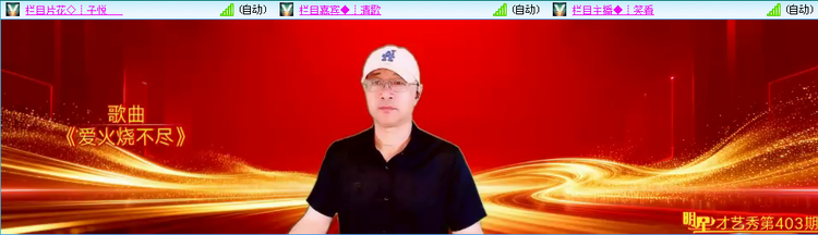 无言🎤V娱热点
