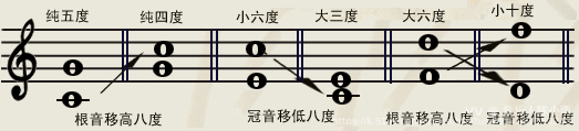 音乐人陈小雨