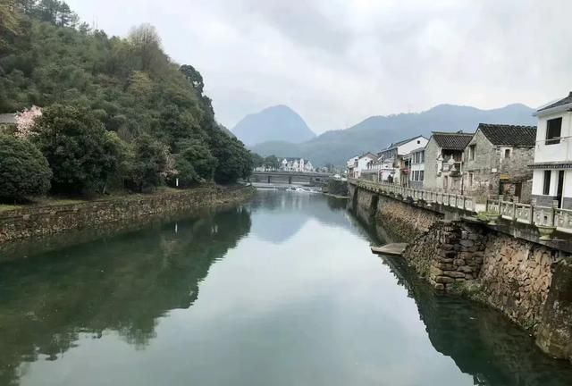 散文61那座桥首发