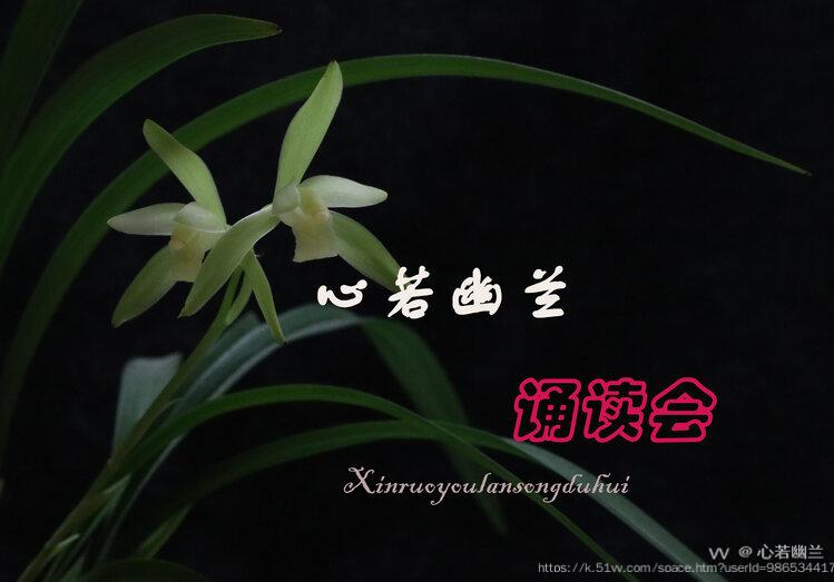 心若幽兰