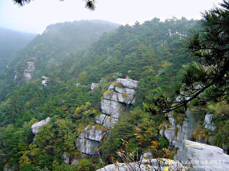 知白守黑【美摄视界】