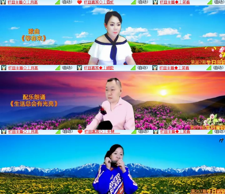 海燕🎤V娱热点