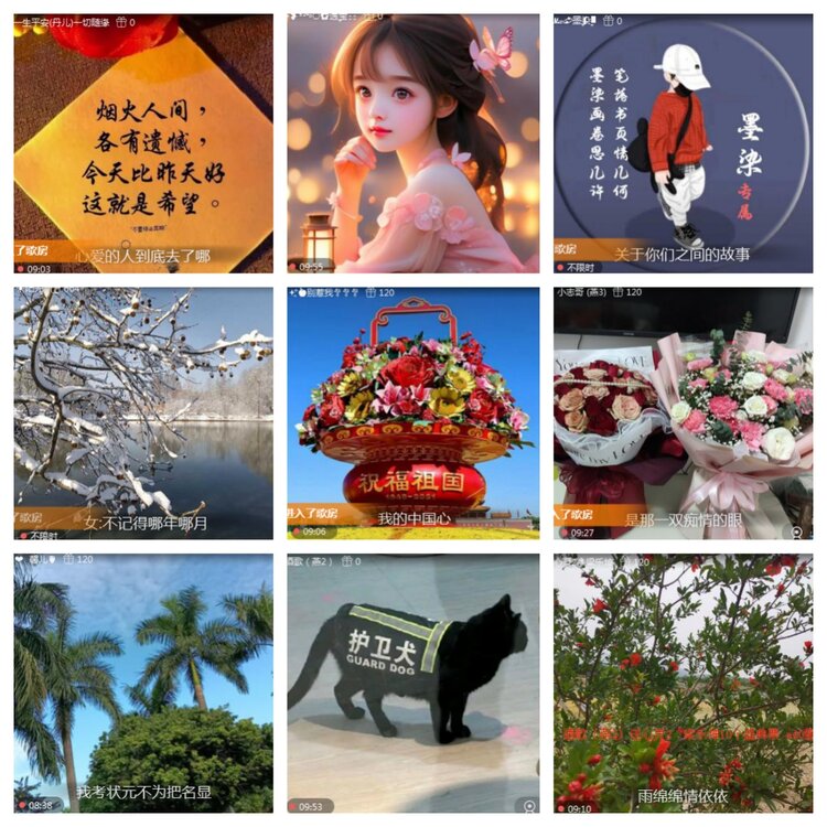 海燕🎤V娱热点