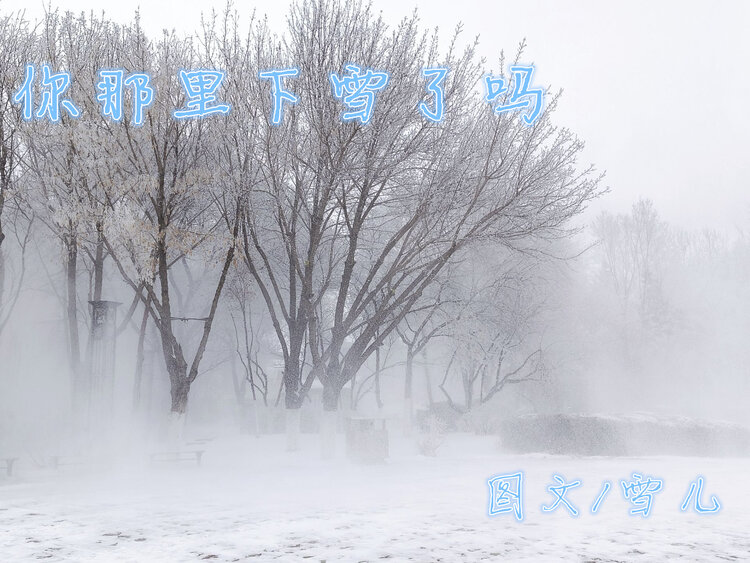 雪儿🎤V娱热点