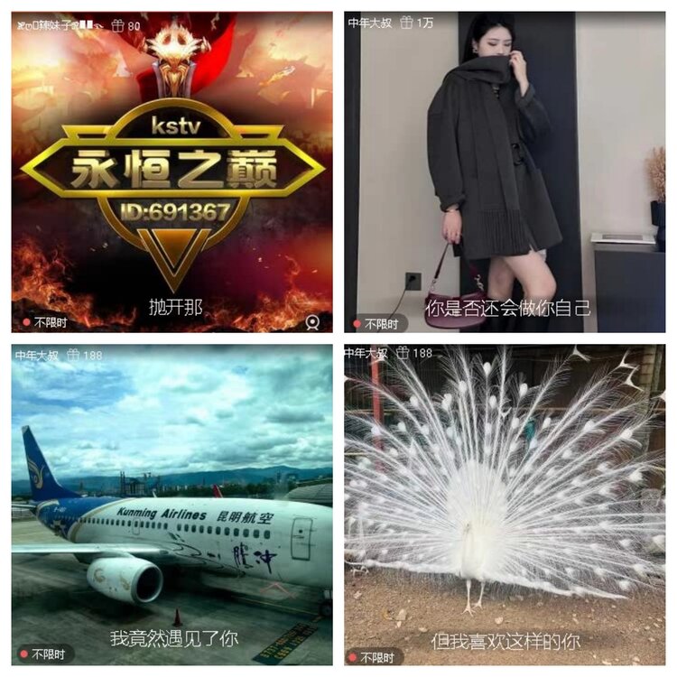 飞翔🎤V娱热点