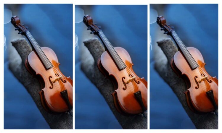 海燕🎤V娱热点