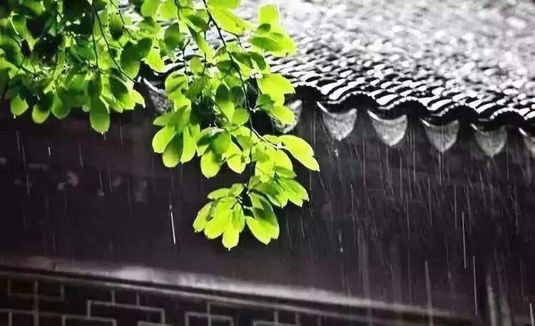 yzhong