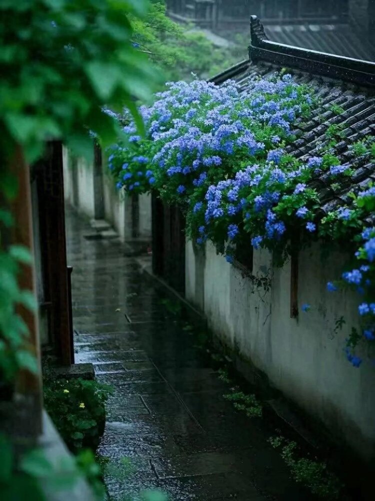 小浅🎤V娱热点