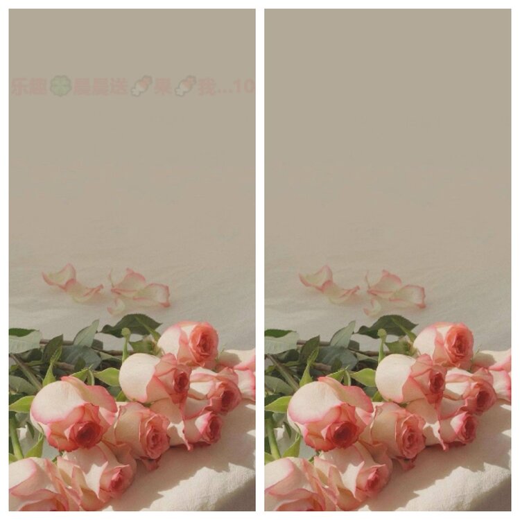 心玫🎤V娱热点