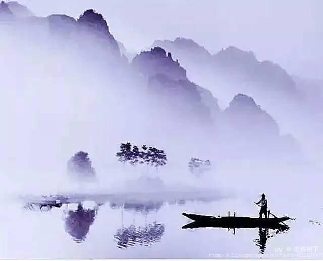 老榕树下