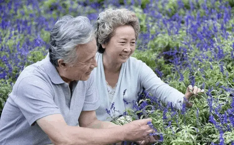 𝕼𝓧❤️为你祈祷