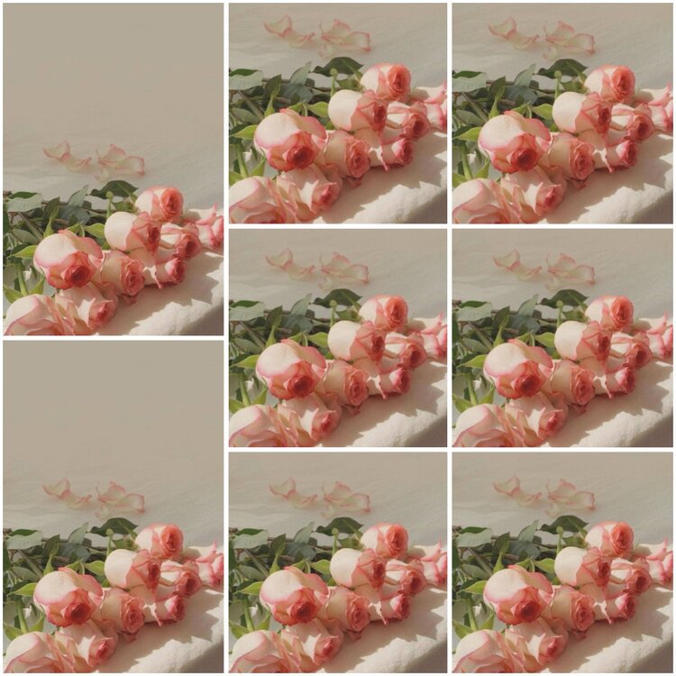 思点🎤V娱热点