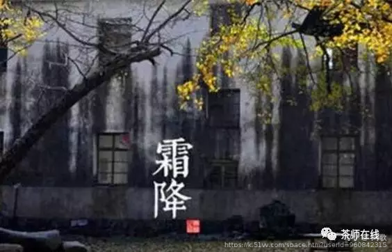 闫歌